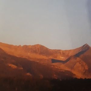 Meet your Posher, Piper